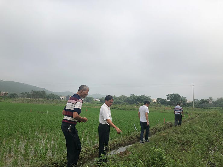 yl23455永利集团(Macau)有限公司官网-Official website