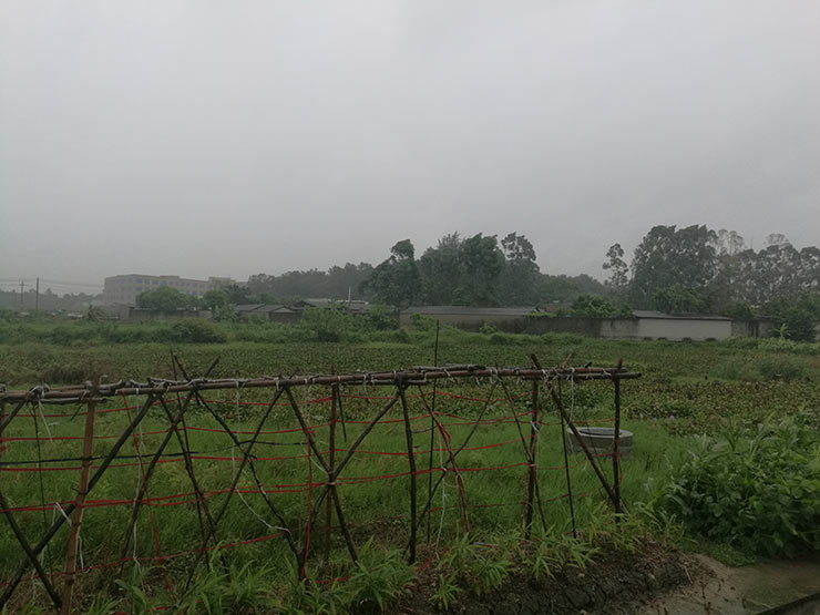 yl23455永利集团(Macau)有限公司官网-Official website