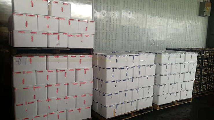 yl23455永利集团(Macau)有限公司官网-Official website