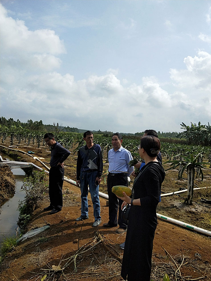 yl23455永利集团(Macau)有限公司官网-Official website