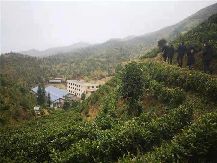 yl23455永利集团(Macau)有限公司官网-Official website