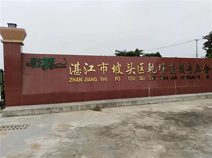 yl23455永利集团(Macau)有限公司官网-Official website