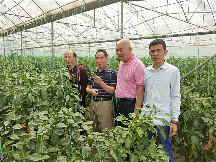 yl23455永利集团(Macau)有限公司官网-Official website