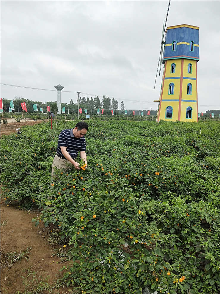 yl23455永利集团(Macau)有限公司官网-Official website
