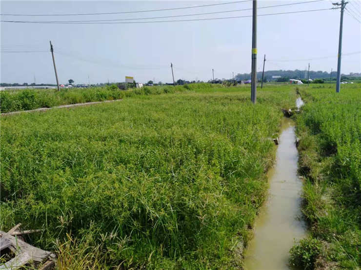 yl23455永利集团(Macau)有限公司官网-Official website