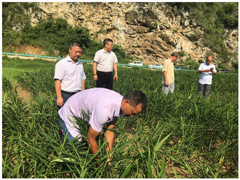 yl23455永利集团(Macau)有限公司官网-Official website