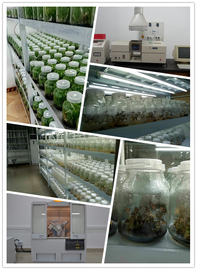 yl23455永利集团(Macau)有限公司官网-Official website