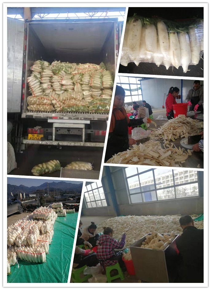 yl23455永利集团(Macau)有限公司官网-Official website