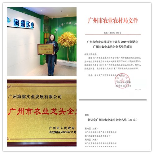 yl23455永利集团(Macau)有限公司官网-Official website