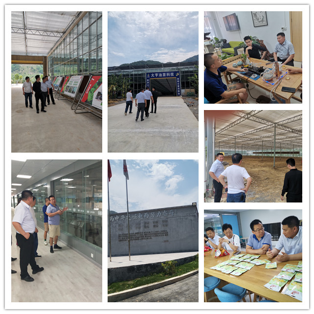yl23455永利集团(Macau)有限公司官网-Official website