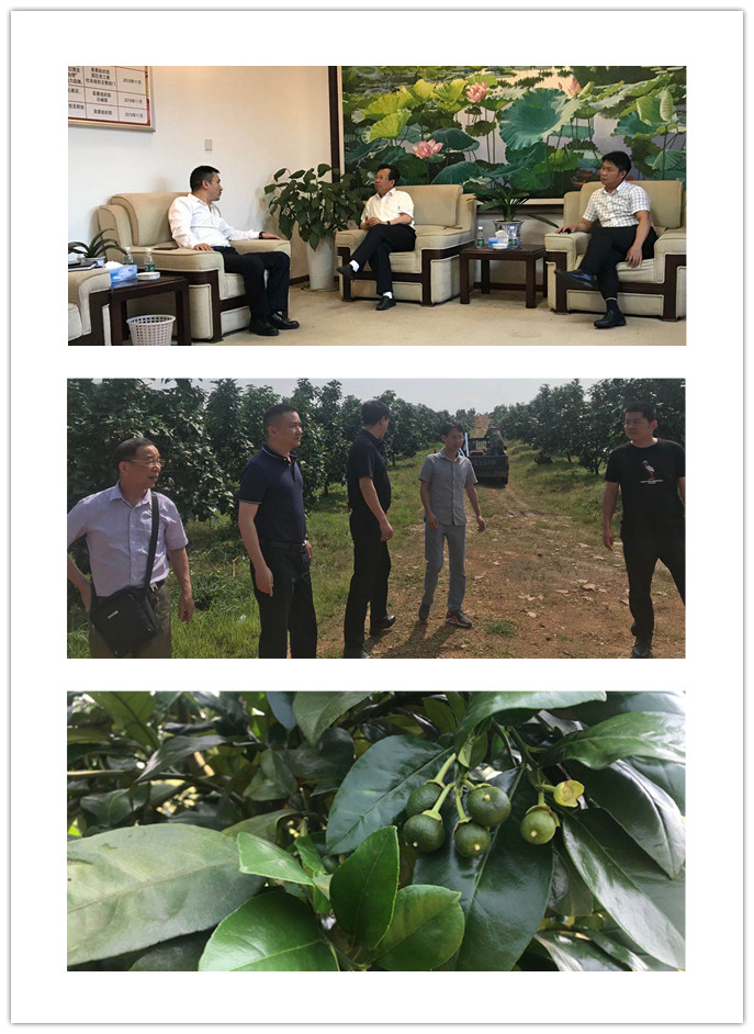 yl23455永利集团(Macau)有限公司官网-Official website