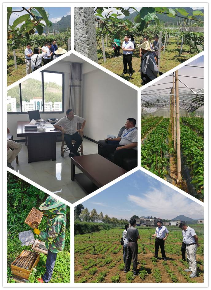 yl23455永利集团(Macau)有限公司官网-Official website