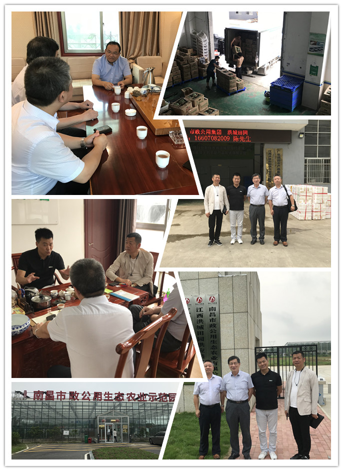 yl23455永利集团(Macau)有限公司官网-Official website