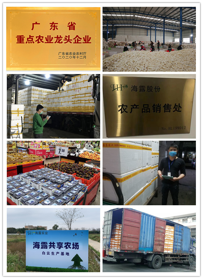 yl23455永利集团(Macau)有限公司官网-Official website