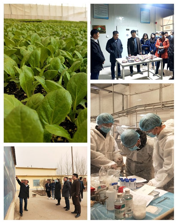 yl23455永利集团(Macau)有限公司官网-Official website