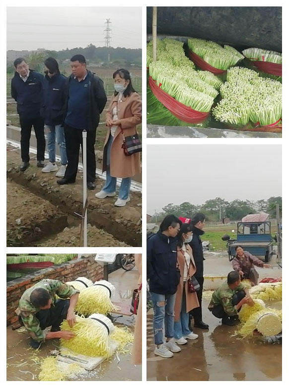 yl23455永利集团(Macau)有限公司官网-Official website
