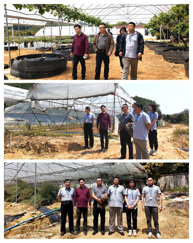 yl23455永利集团(Macau)有限公司官网-Official website