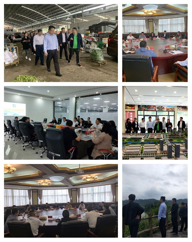 yl23455永利集团(Macau)有限公司官网-Official website