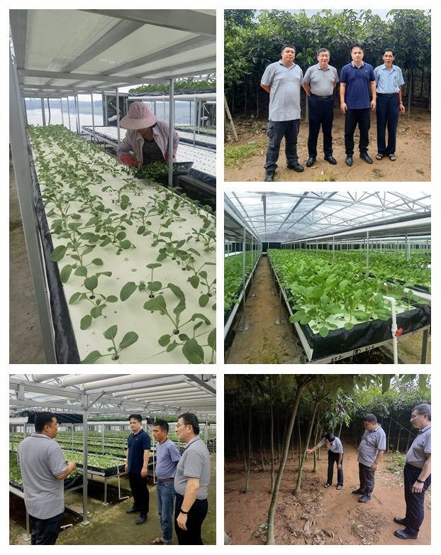 yl23455永利集团(Macau)有限公司官网-Official website