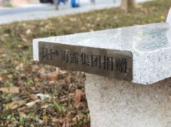 集团党支部落实大花园经济联社“民生微项目”，提升居民群众幸福感