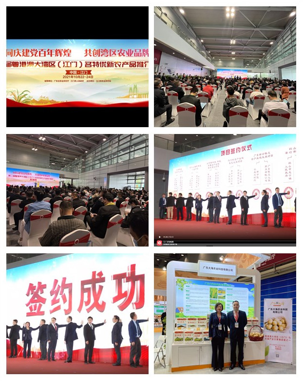 yl23455永利集团(Macau)有限公司官网-Official website