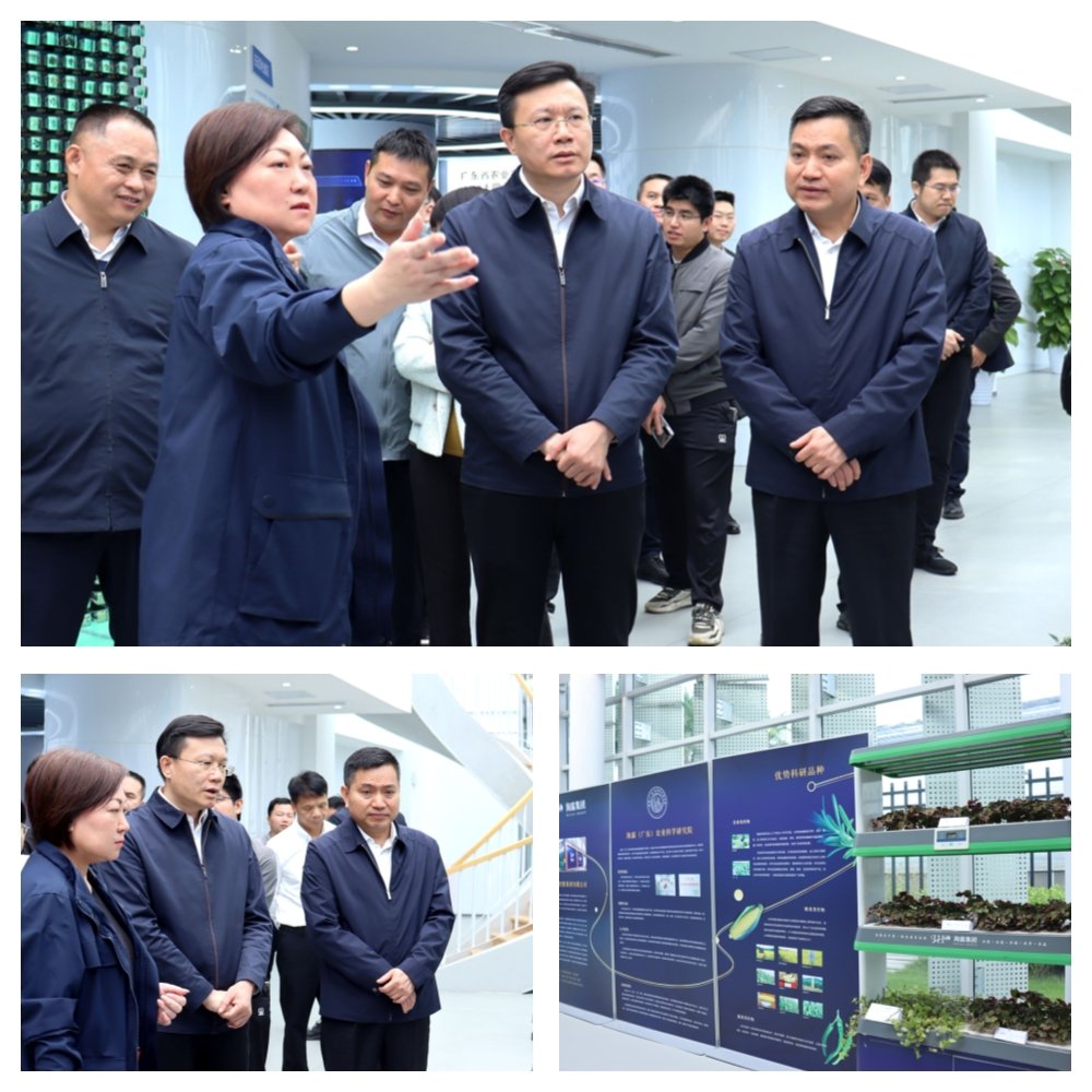yl23455永利集团(Macau)有限公司官网-Official website