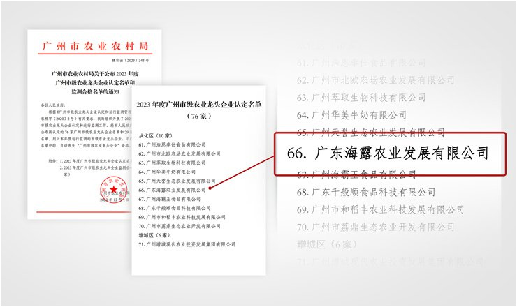 1-23120GS941164 yl23455永利集团(Macau)有限公司官网-Official website