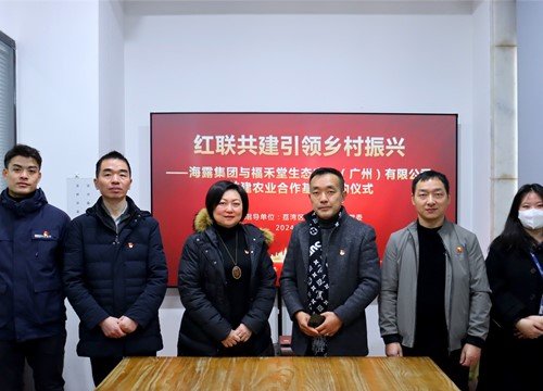 红联共建引领乡村振兴，党建促业务深度融合