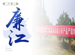 廉江-共建国家级水稻制种大县