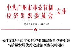 集团党支部荣获广州市优秀党建创新案例二等奖及优胜奖