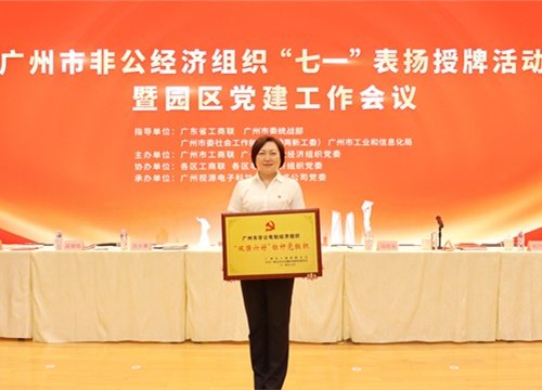 标杆引领，荣誉升级！集团党支部荣膺广州市非公有制经济组织“双强六好”标