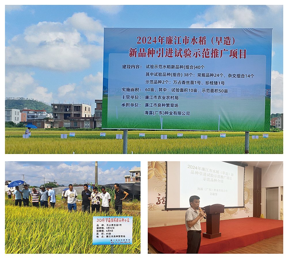 yl23455永利集团(Macau)有限公司官网-Official website