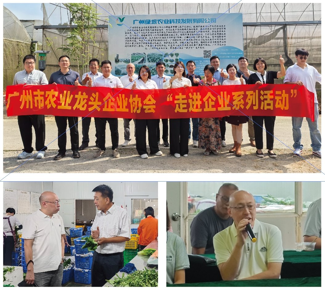 yl23455永利集团(Macau)有限公司官网-Official website