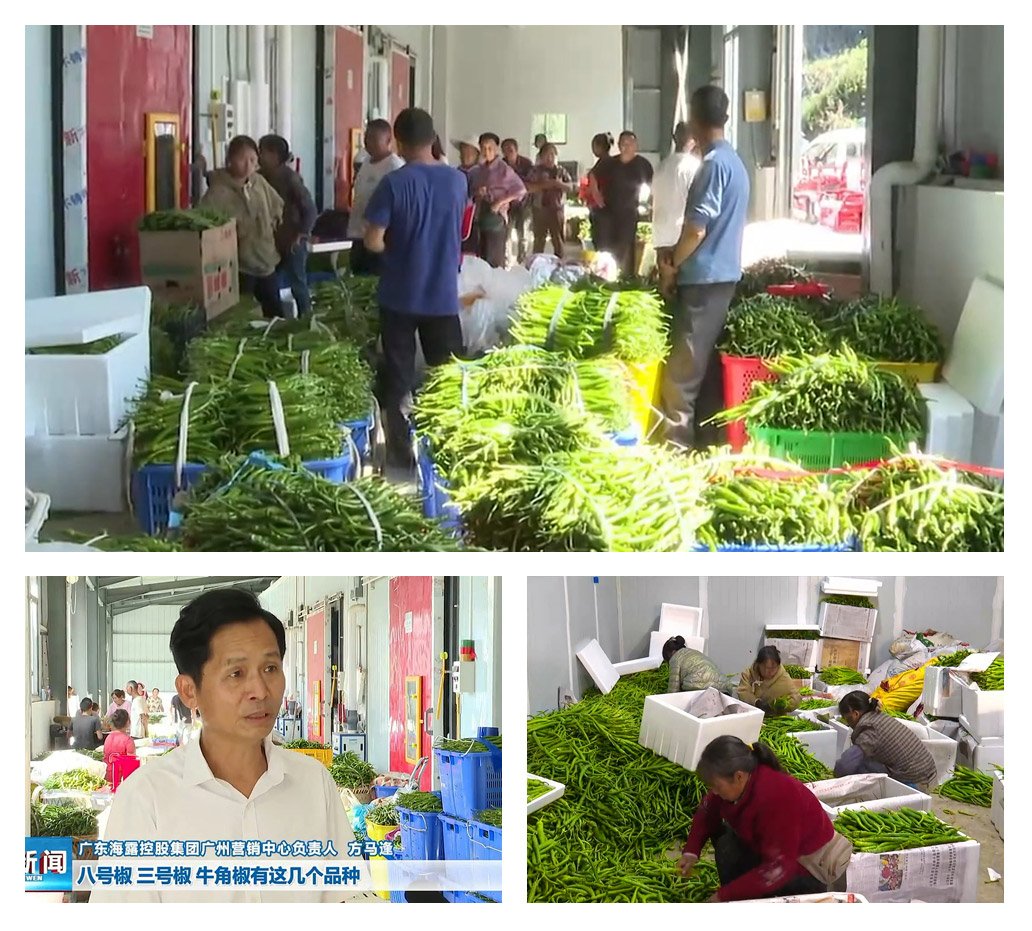 yl23455永利集团(Macau)有限公司官网-Official website