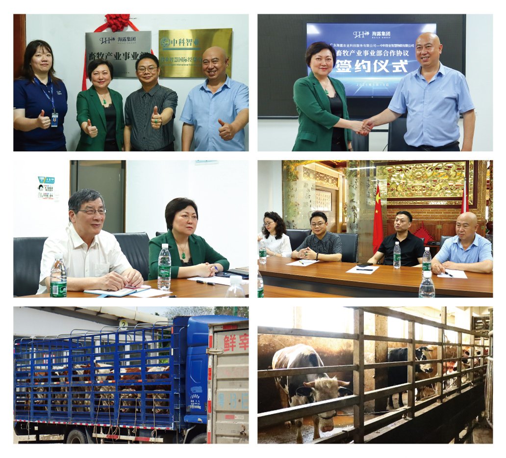 yl23455永利集团(Macau)有限公司官网-Official website