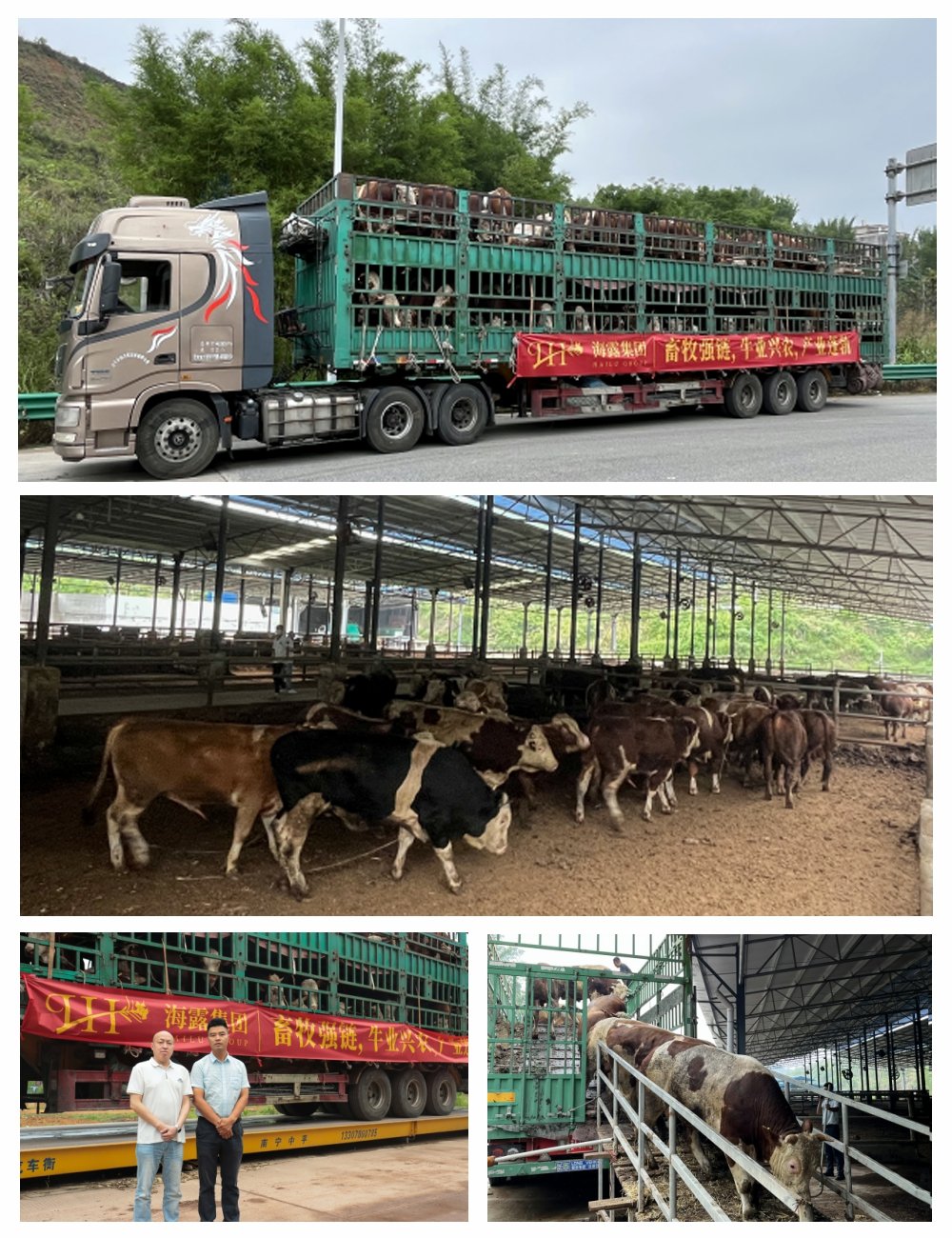 yl23455永利集团(Macau)有限公司官网-Official website