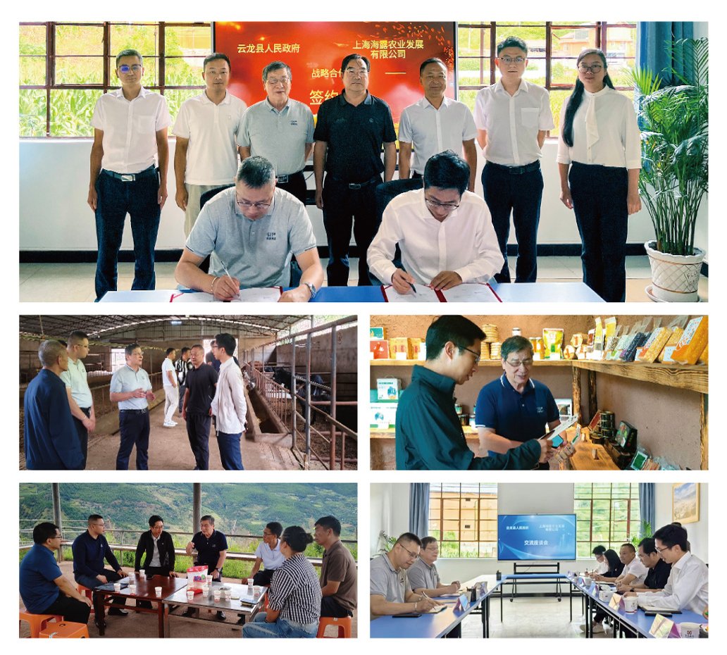 yl23455永利集团(Macau)有限公司官网-Official website