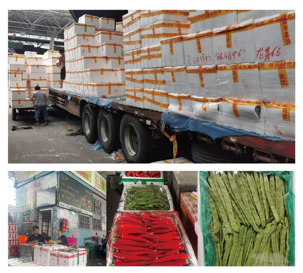 yl23455永利集团(Macau)有限公司官网-Official website