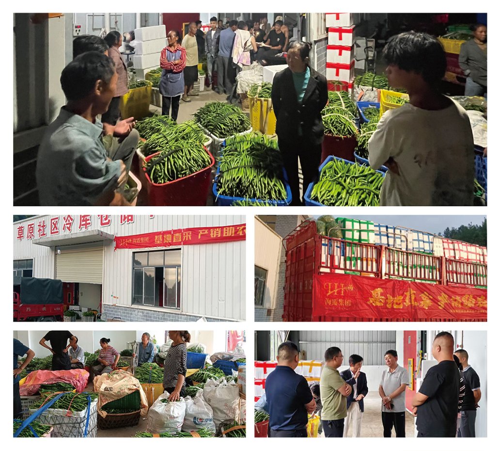 yl23455永利集团(Macau)有限公司官网-Official website