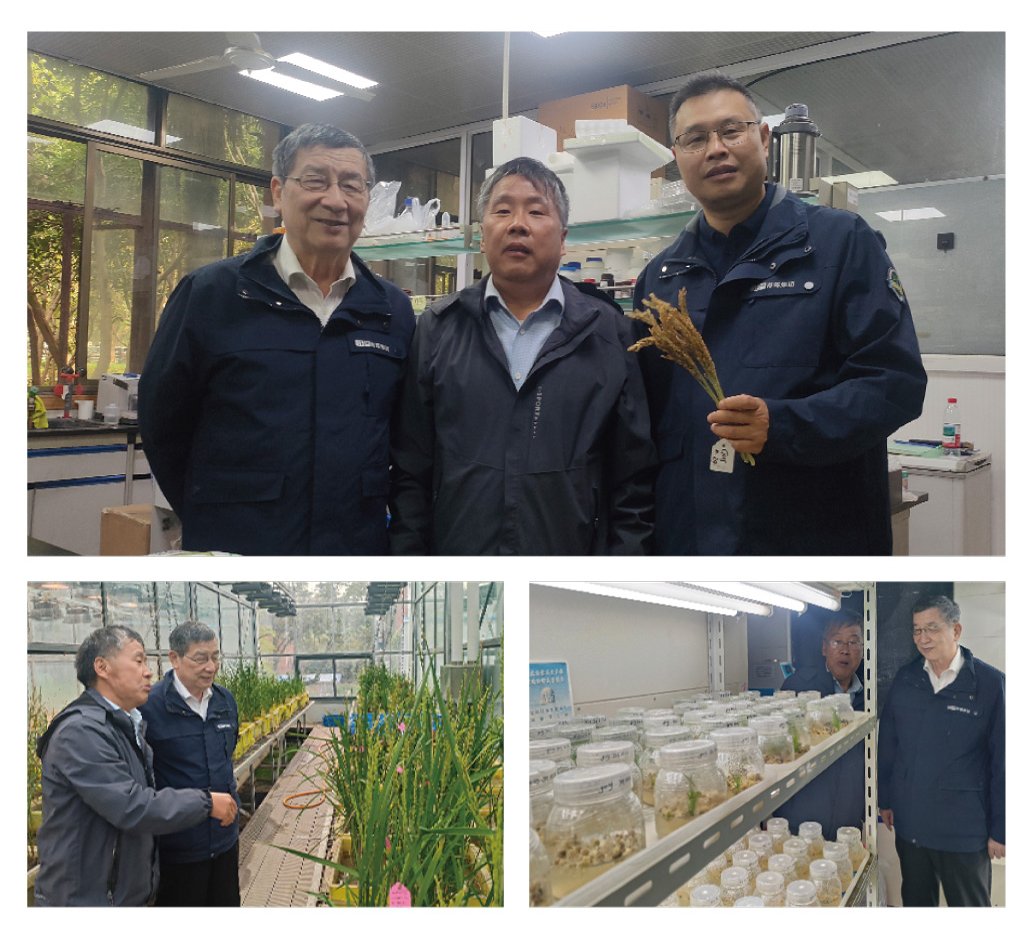 yl23455永利集团(Macau)有限公司官网-Official website