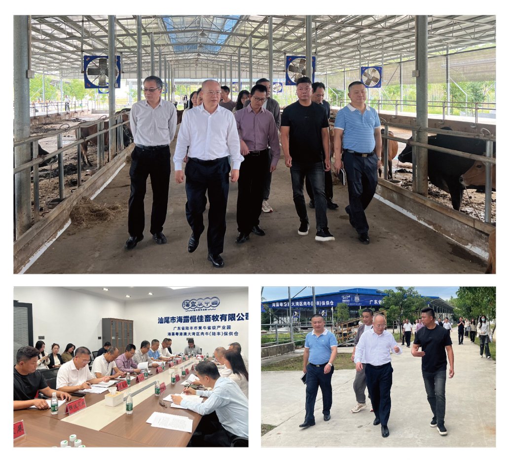 yl23455永利集团(Macau)有限公司官网-Official website