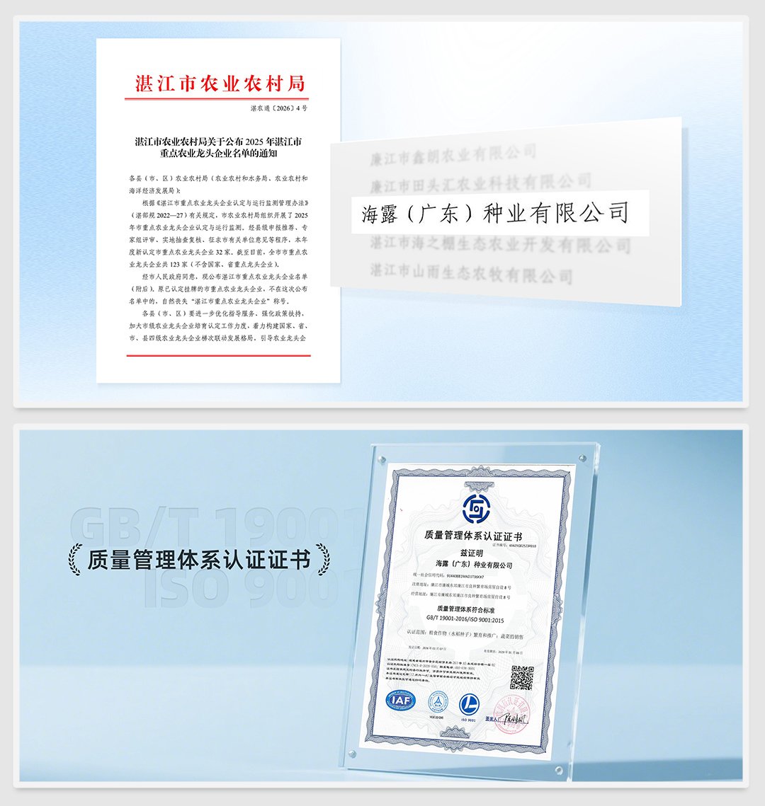 yl23455永利集团(Macau)有限公司官网-Official website