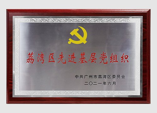 2021年区先进党组织