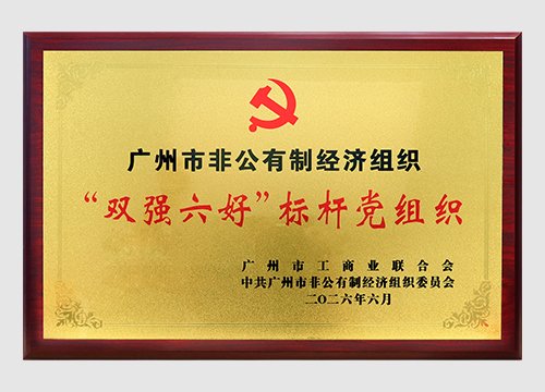 2024年至2026年连续三年斩获“双强六好”标杆党组织称号